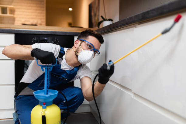 Pest Control for Restaurants in West Pleasant View, CO