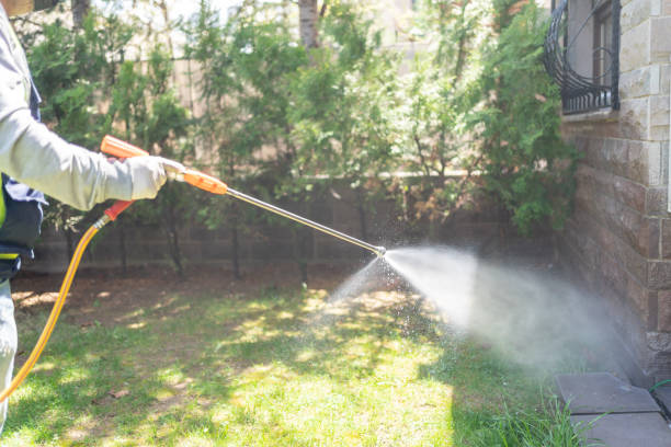 Flea Control Services in West Pleasant View, CO